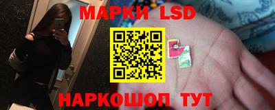 a pvp Рыбинск