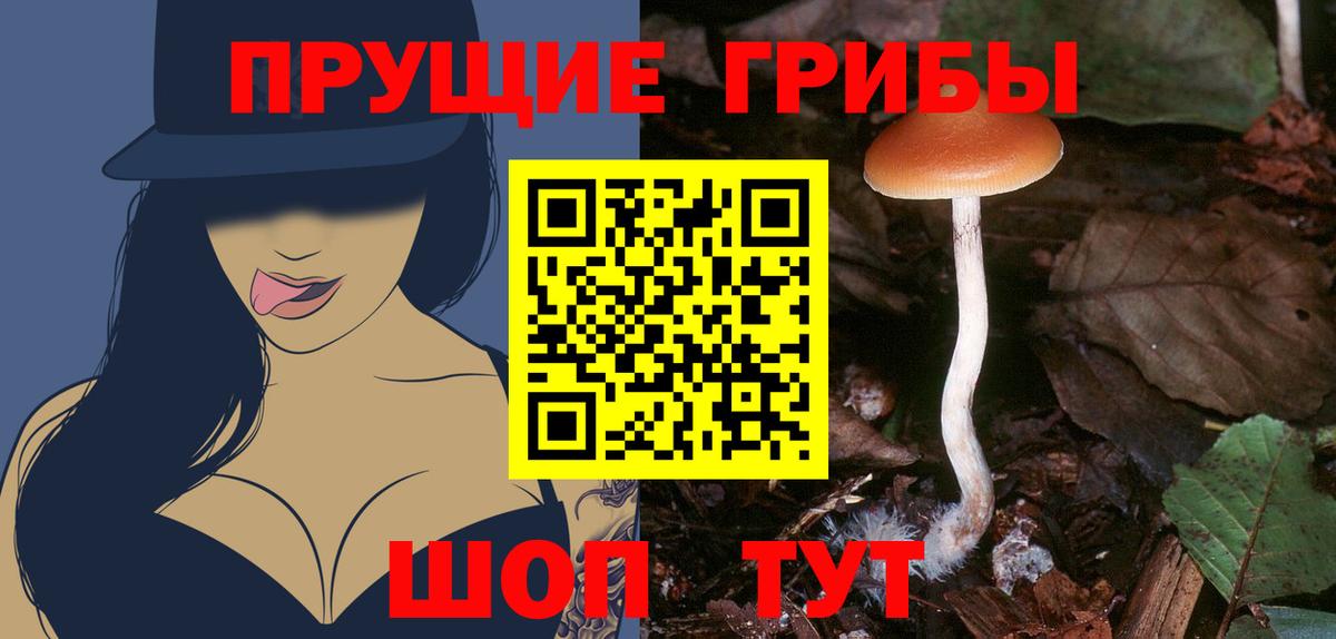 Псилоцибиновые грибы ЛСД Ржев